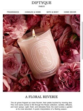 Diptyque Roses Candle Diptyque MEDIUM Roses candle 300g